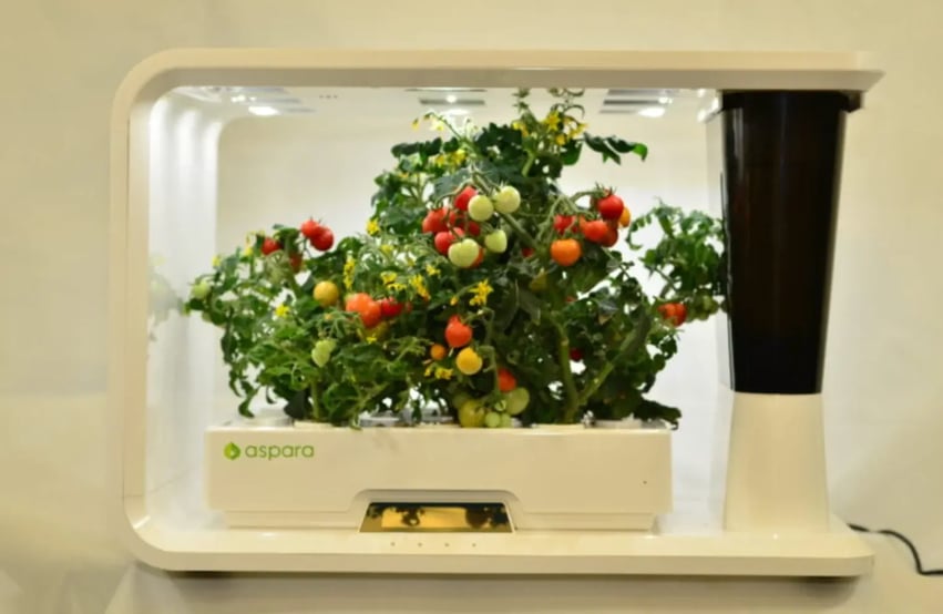 Indoor Hydroponic Sysems