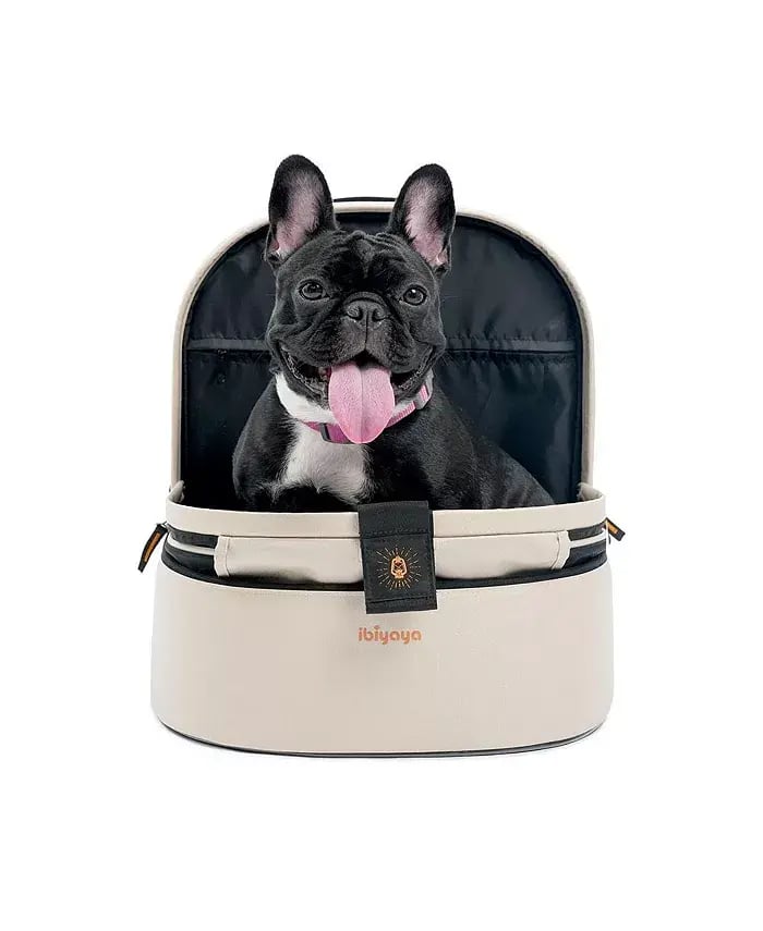 Pet accesories