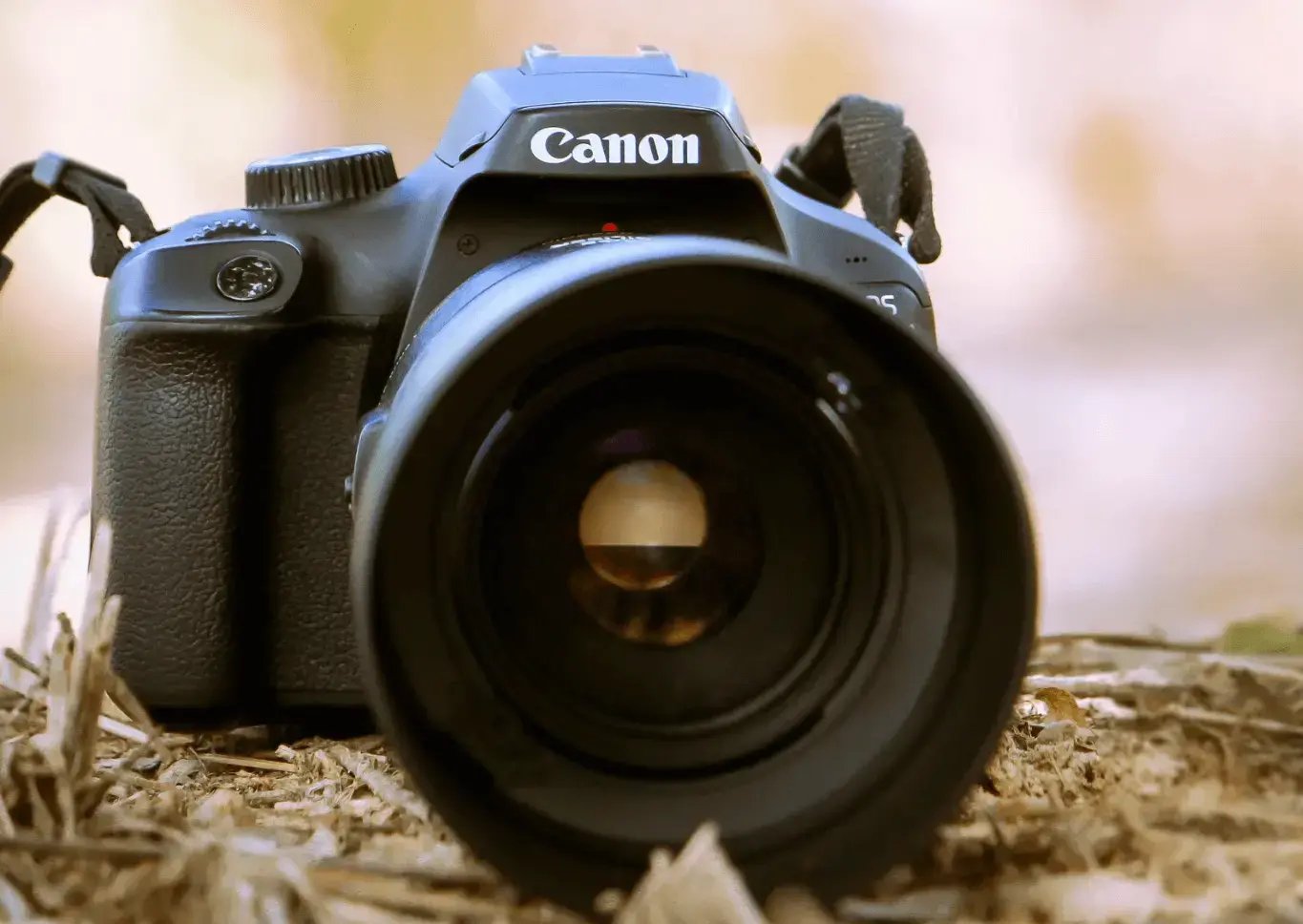 Selling cameras online